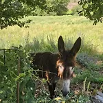 Linhares - Turismo, Natureza E Aventura Lantställe *