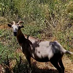 Linhares - Turismo, Natureza E Aventura * Castanheira de Pera