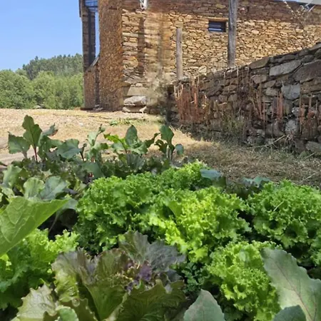 Lodge Linhares - Turismo, Natureza E Aventura *