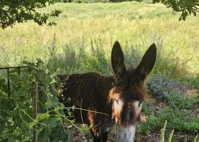 Linhares - Turismo, Natureza E Aventura בית כפרי *