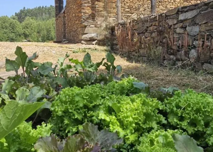 בית כפרי Linhares - Turismo, Natureza E Aventura *