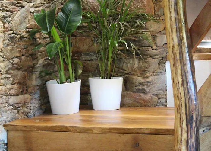 Linhares - Turismo, Natureza E Aventura בית כפרי קסטניירה דה פרה